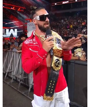 WWE Raw Seth Rollins Red Embroidered Shirt USA Jackets