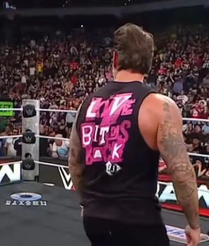 CM Punk Monday Night RAW 2025 Black Tank Top USA Jackets